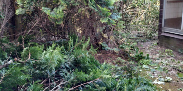 Ontruiming Tuin Ontruiming Tuin